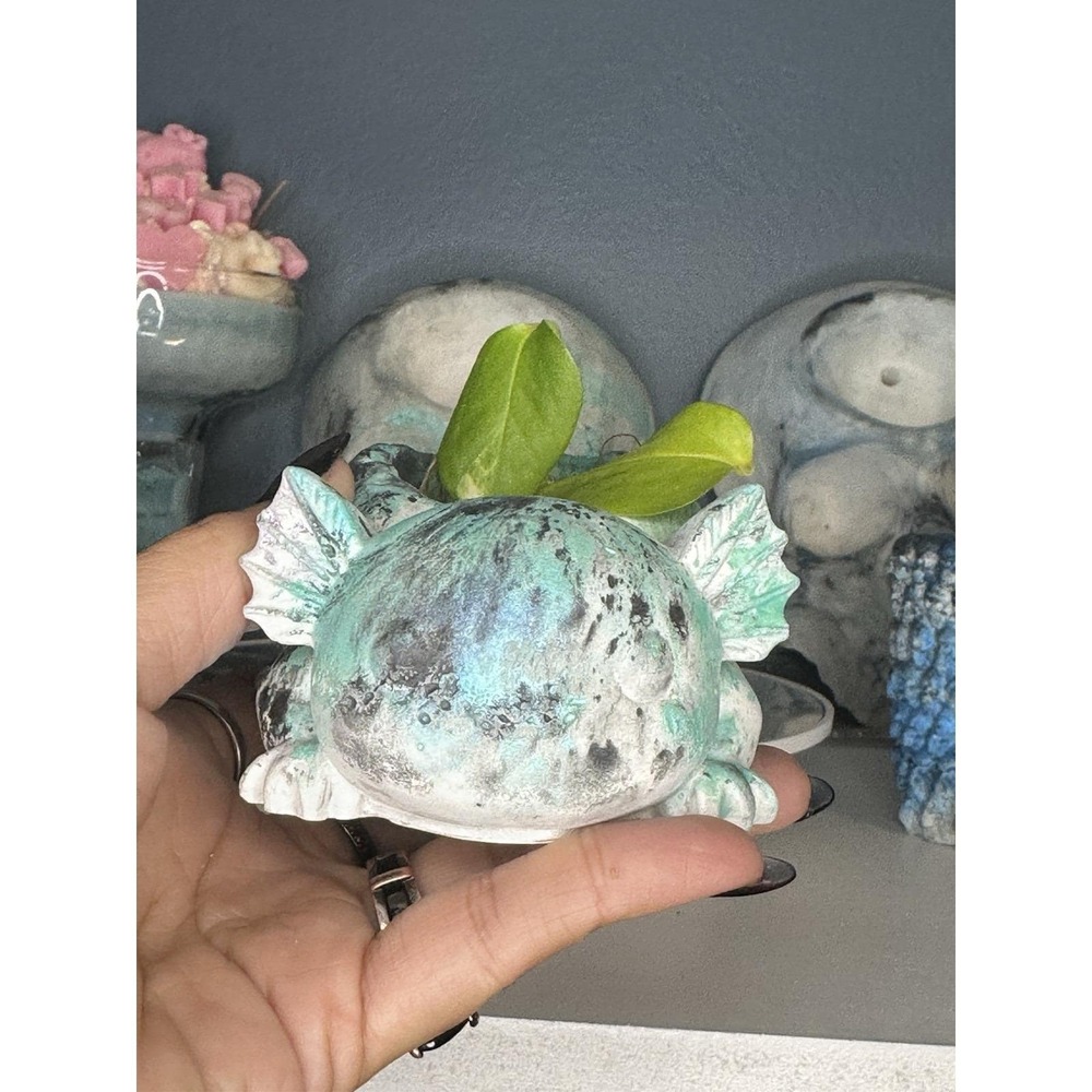 2 Axolotl  Concrete Planter Gold– Handmade Cement Succulent Plant  Pot Green